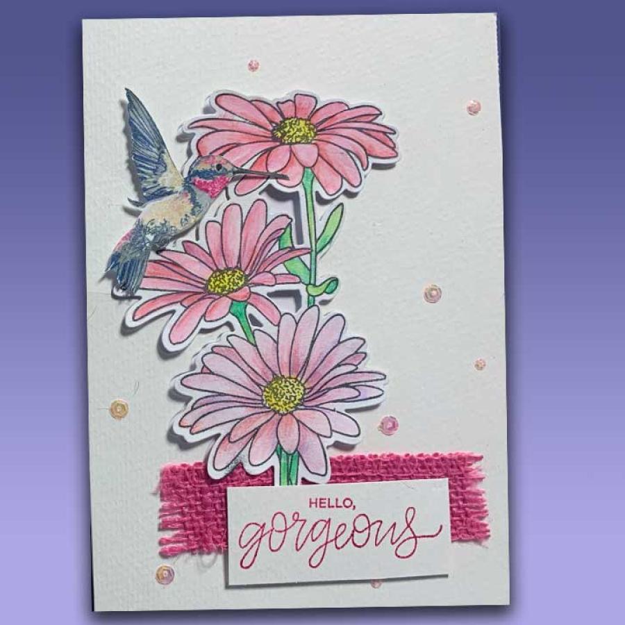 Floral Hummingbird Greeting Card