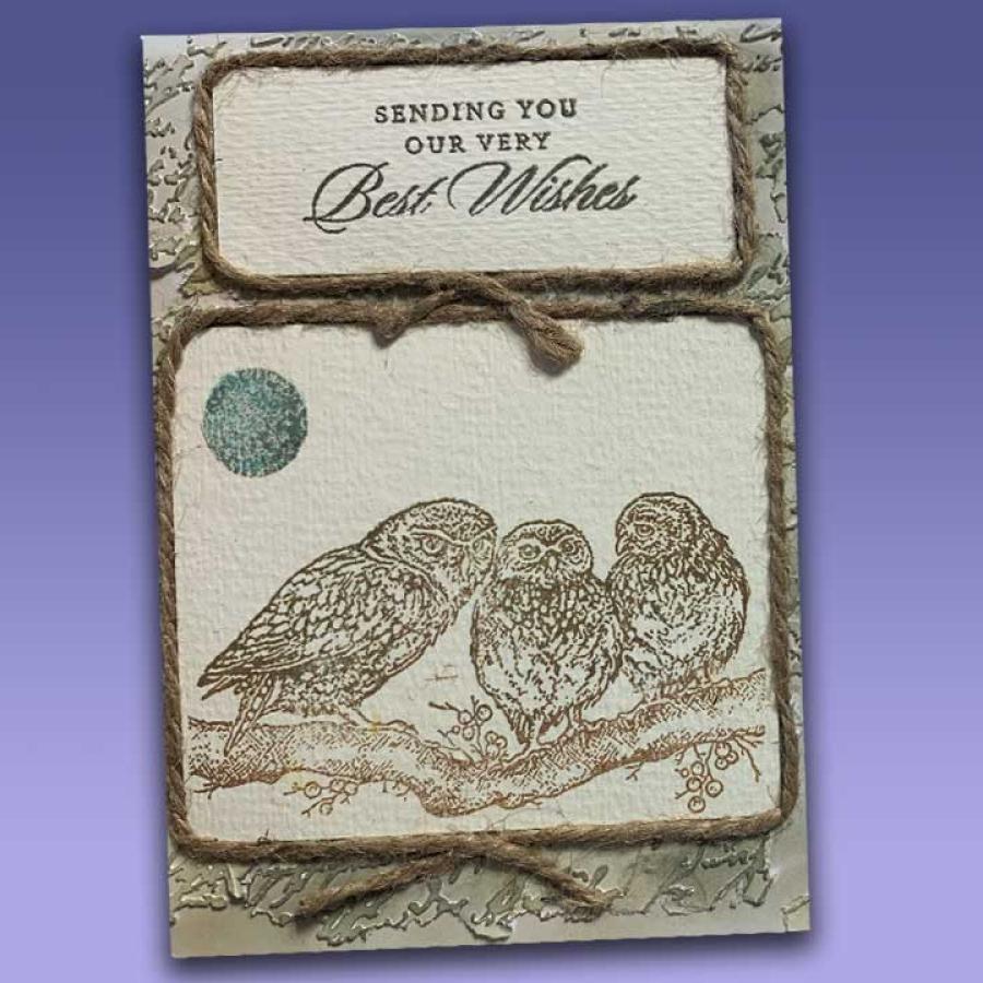 Owl Best Wishes Card