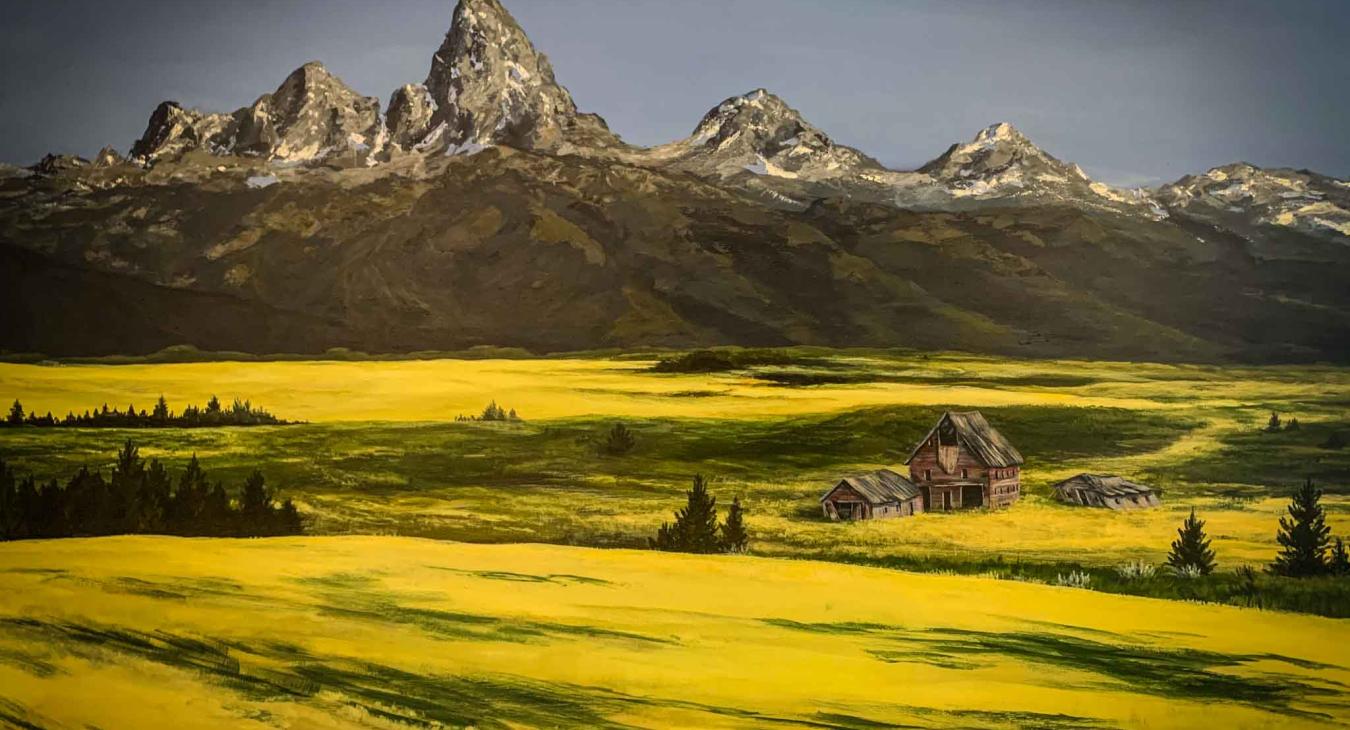 Tetons - Canola Field